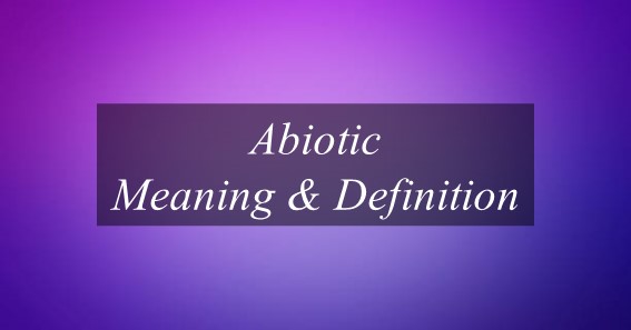 Abiotic Meaning & Definition