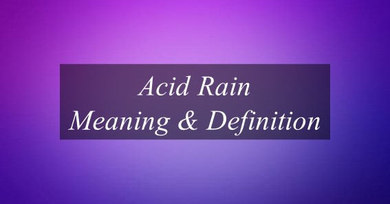 Acid Rain Meaning & Definition