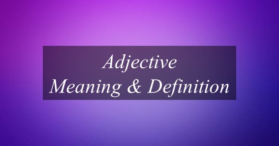 Find Out Adjective Meaning