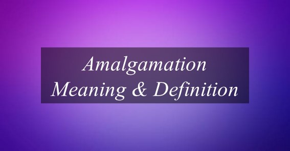 Amalgamation Meaning & Definition