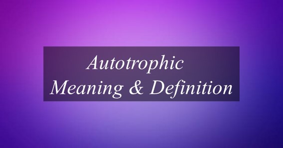Autotrophic Meaning & Definition