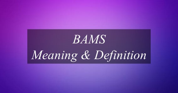 BAMS Meaning & Definition