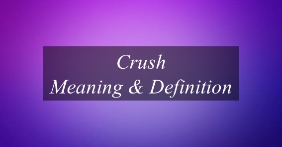 What Is The Meaning Of Crush? Find Out The Meaning Of Crush