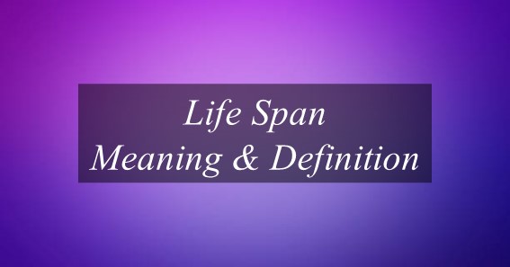 Life Span Meaning & Definition