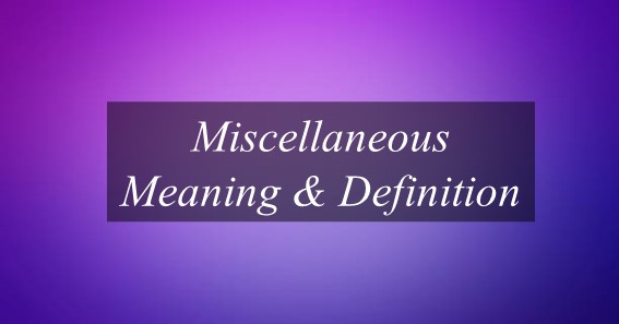 Miscellaneous Meaning & Definition