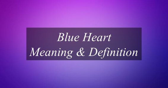 What Is Meaning Of Blue Heart? Find Out Meaning Of The Heart.