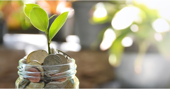 Why Your Savings Account Is Not Growing