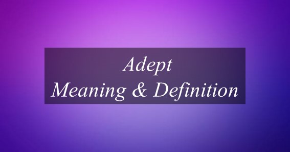 Adept Meaning & Definition