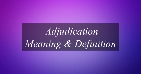 Adjudication Meaning & Definition