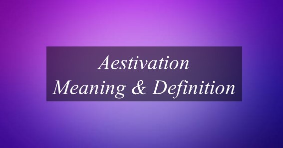 Aestivation Meaning & Definition