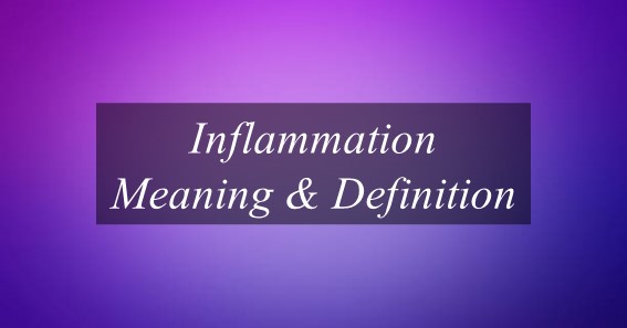 What Is The Meaning Of Inflammation