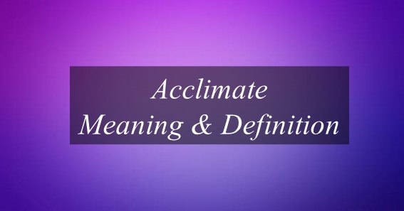 Acclimate Meaning & Definition