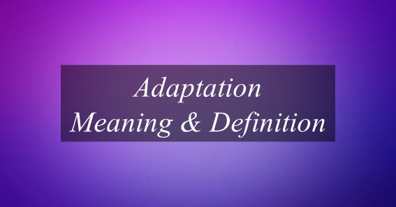 Adaptation Meaning & Definition