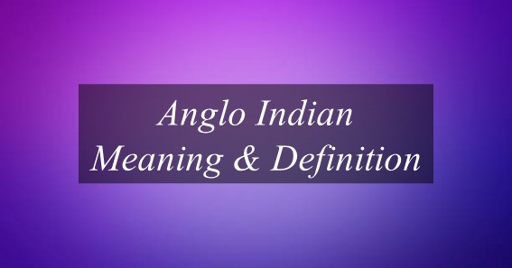 Anglo Indian Meaning & Definition