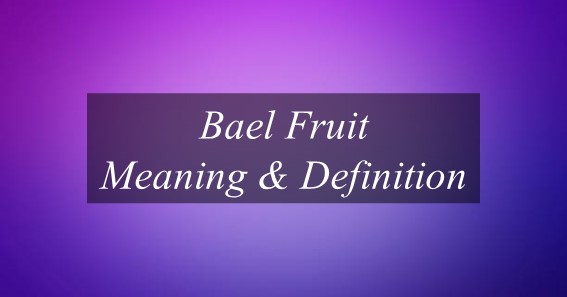 Bael Fruit Meaning & Definition