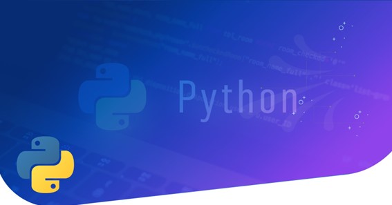 How to Identify the Best Python Development Company?