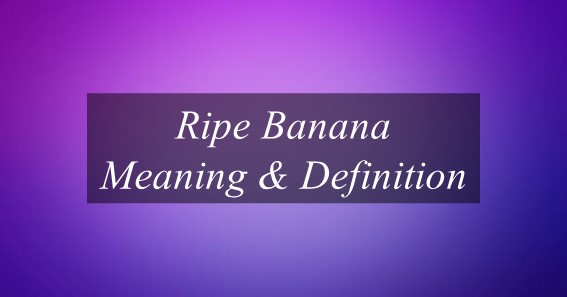 Ripe Banana Meaning & Definition