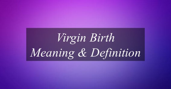 Virgin Birth Meaning & Definition