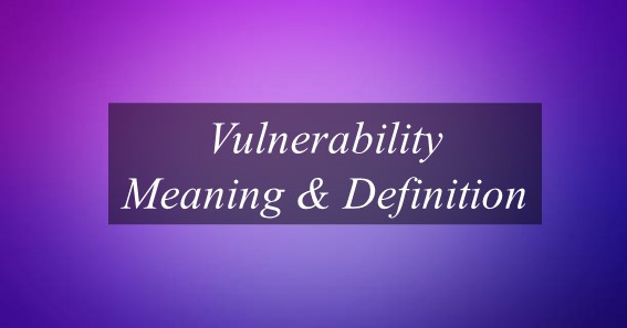 Vulnerability Meaning & Definition