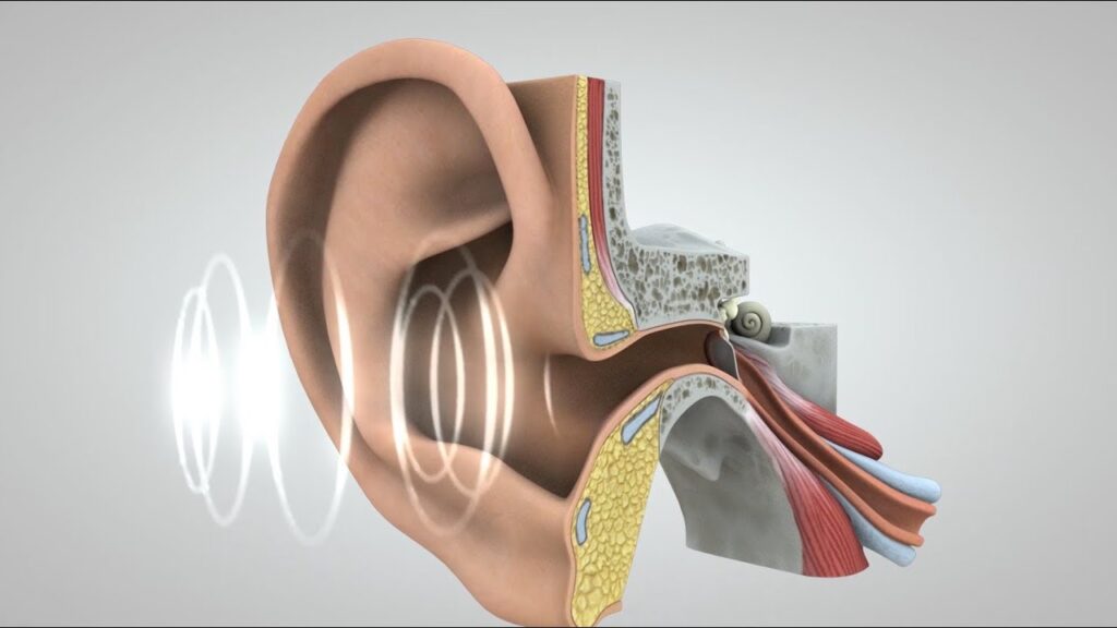 Recognizing The Different Types Of Hearing Problems: A Brief Guide