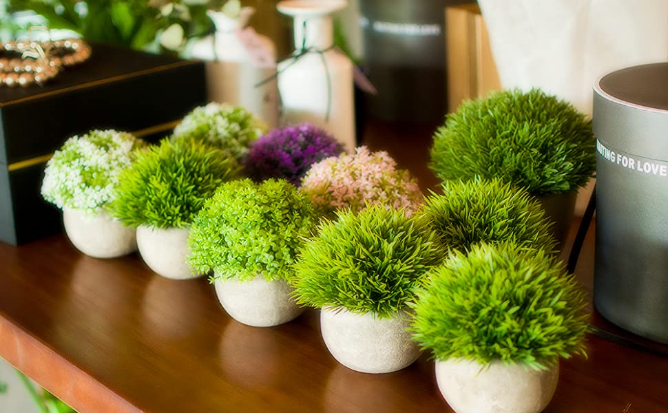 Things To Consider When You Buy Artificial Plants For Your Office