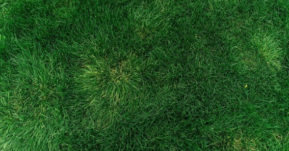 What Are Artificial Grass Recyclers?