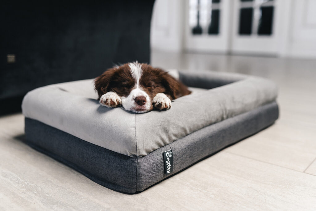 Why It's Worth Investing in a Quality Dog Bed: A Heartfelt Guide to Your Dog's Comfort
